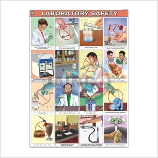 Polyart Chart set of 5