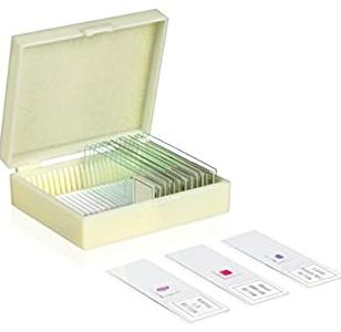 Mitosis &amp; Meiosis Prepared Slide Set