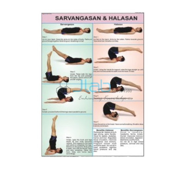 Sarvangasan and Halasan Chart