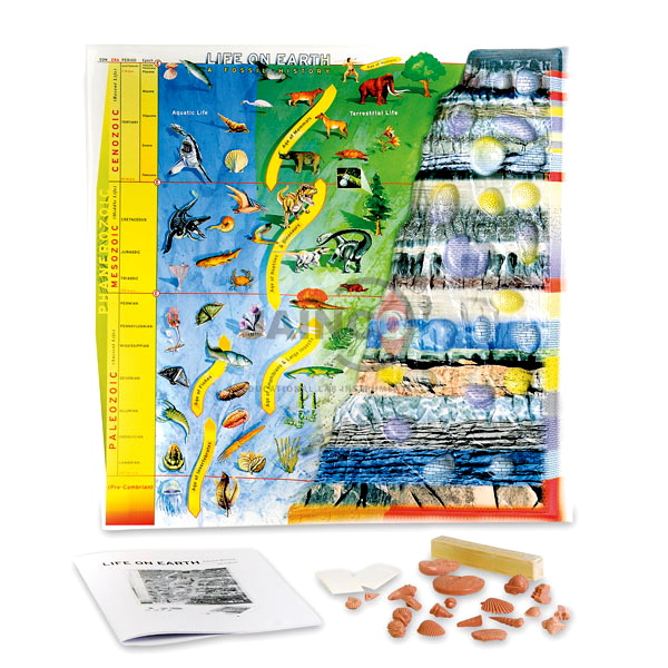 Life on Earth a Fossil History