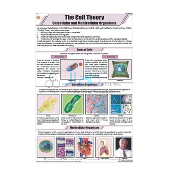 The Cell Theory