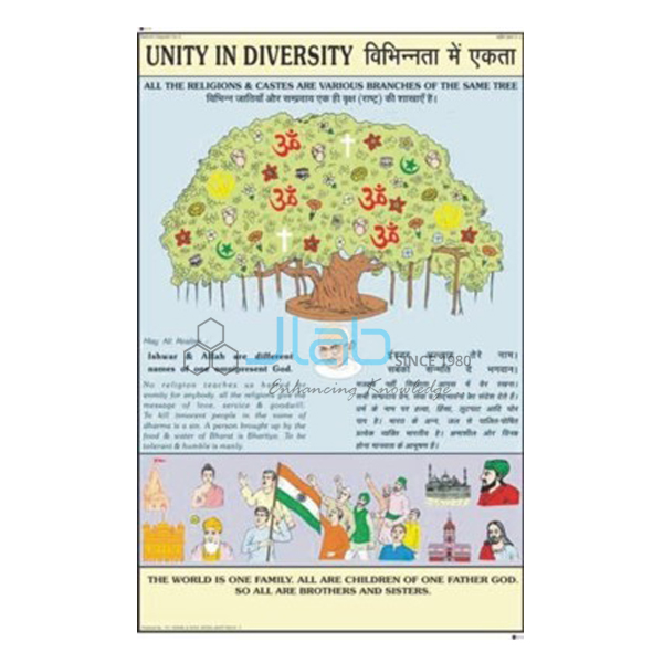 Unity is Diversity Chart