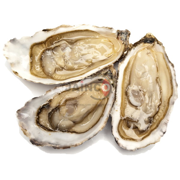 Vibrio and Yersinia Species Model