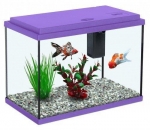 Fresh Water Aquarium with Stand