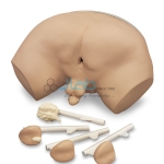 Prostate Inspection Model