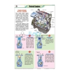 Petrol Engine