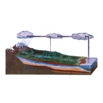 River in Action 3D Model