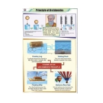 Archimedes Principal