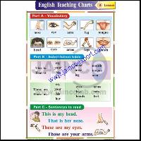 Parts of Body Chart