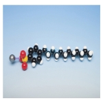 Detergent Molecular Model Kit