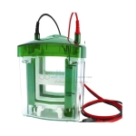 Vertical Electrophoresis System