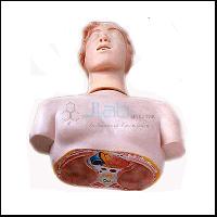 Basic CPR Manikin Half Body With Monitor