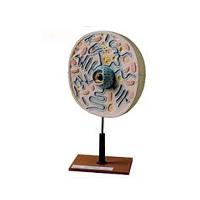 Photo Cell Mounted on Base