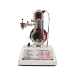 Petrol Engine Model