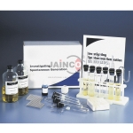 Investigating Spontaneous Generation