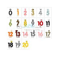 Numbers Flash Cards 1-20