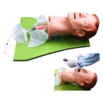Multi-functional Airway Management Model