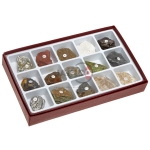 Metamorphic Rock Collection