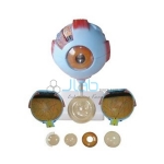 Giant  Eye Model