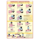 Emergency Resuscitation Chart