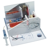 Functional Ear Model