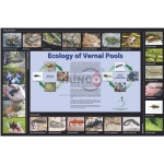 Ecology of Vernal Pools Poster