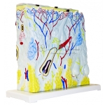 Human Scalp Skin Section Model