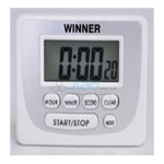 Electronic Timer Economy Model