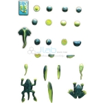 Frog Development Model