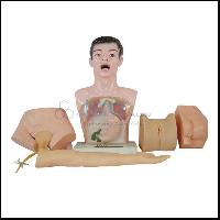 Nurse Basic Practice Teaching Model