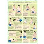 Paschimottanasana and Ardha Matsyendrasana Chart