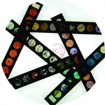 The Senses Microslide