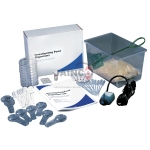 Investigating Pond Organisms