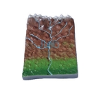 Collecting River System Model