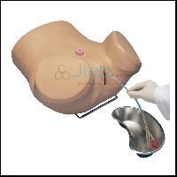 Female Catheterization Training Simulator