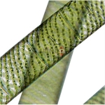 Microbial World Prepared Slide