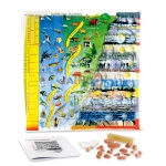 Life on Earth a Fossil History