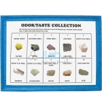 Minerals Odor/Taste Collection (Set of 10)