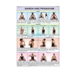 Bandhas and Pranayam Chart