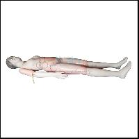 Multi Functional Patient Care Nursing Manikin