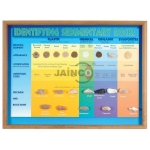 Identifying Sedimentary Rocks