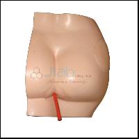 Buttock Injection Model