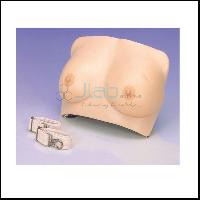 Brest Examination Model