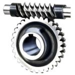 Worm Gear A