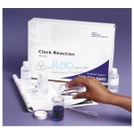 Clock Reaction Demonstration