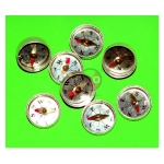 Plotting Compass (One Glass Face)