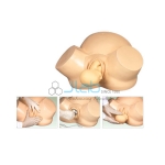 Delivery Training Model