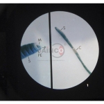 The Earthworm Microslide