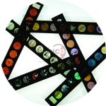 The Plant Kingdom Microslide Lesson Set