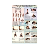 Yog, Mudrasan, Padmasan and Matsyasan Chart